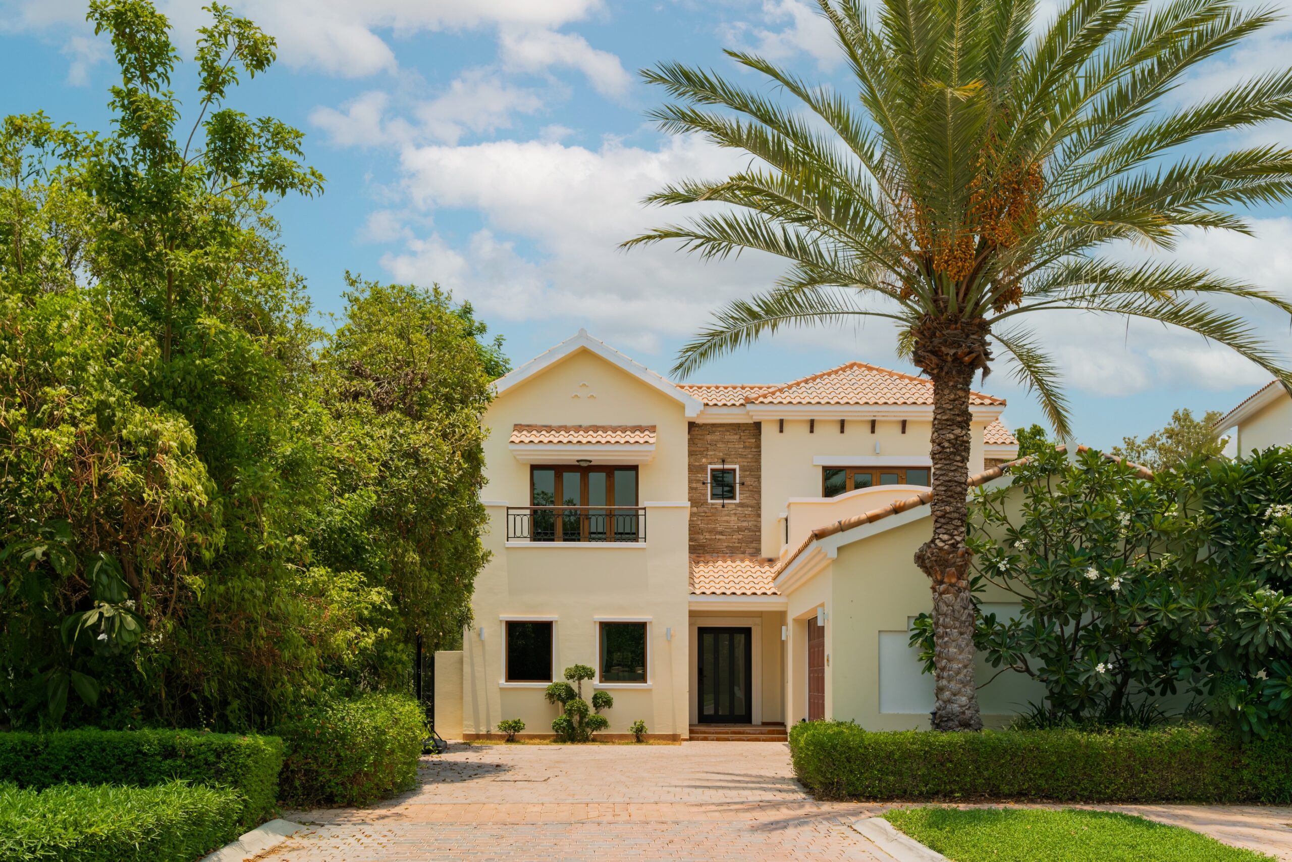 DSCF9458-Enhanced-NR